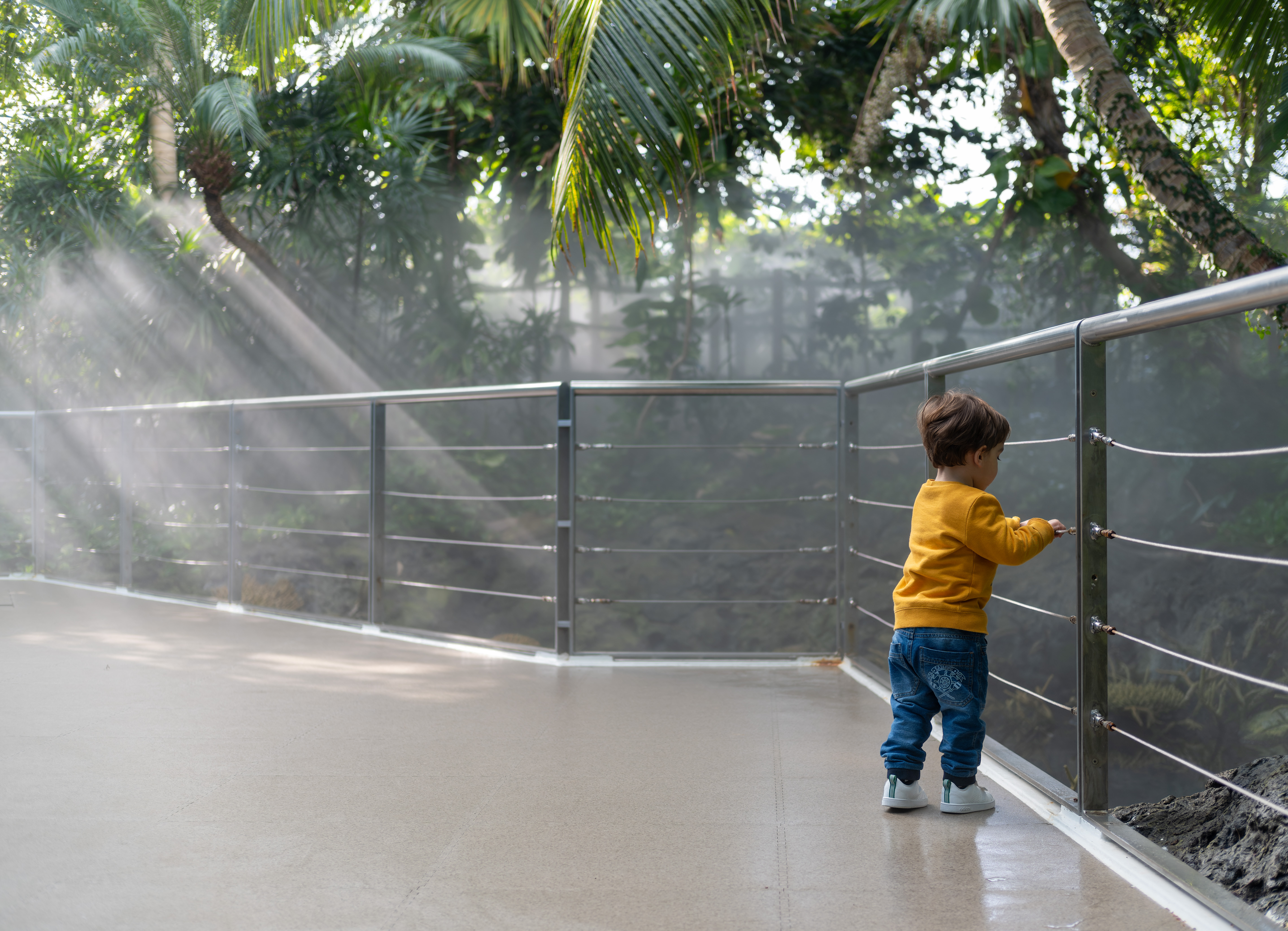 Oceanário de Lisboa — O Maior Aquário de Portugal no Parque das Nações