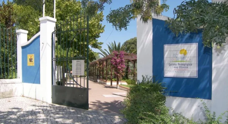 O Ciclo da Quinta para famílias nos Olivais