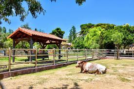 Quinta Pedagógica dos Olivais
