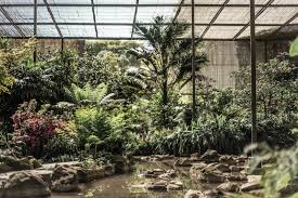 Paisagens Perfumadas na Estufa Fria de Lisboa