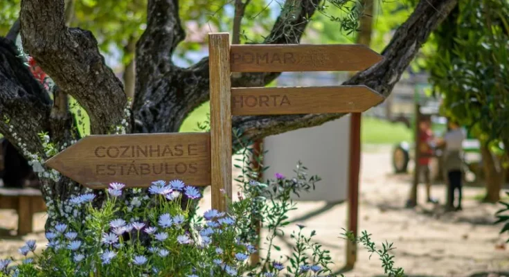 Quinta